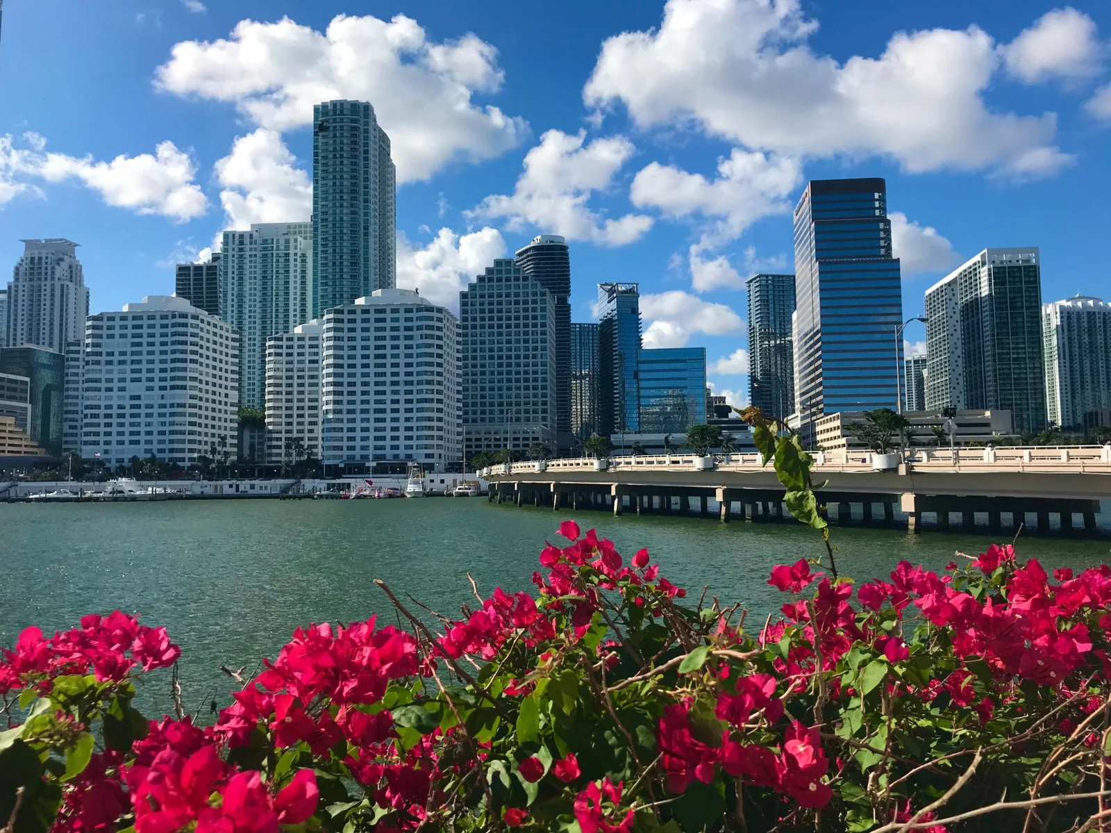 Skyline de Miami frente al agua, con cielo azul y flores de colores